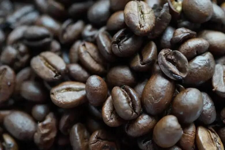 As Principais Regiões Produtoras de Café Robusta no Mundo